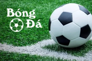 Quy Định Về Bóng Trong Cuộc Và Bóng Ngoài Cuộc Cần Biết
