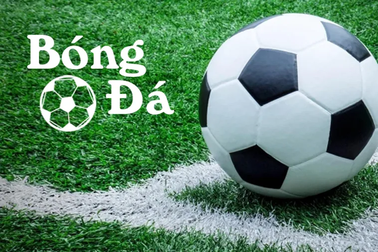 Quy Định Về Bóng Trong Cuộc Và Bóng Ngoài Cuộc Cần Biết