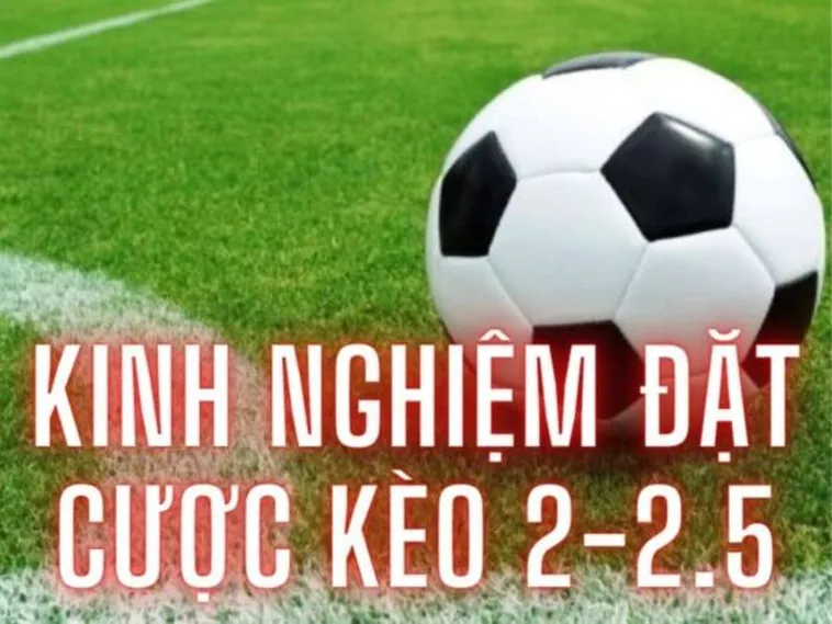 Cách Chinh Phục Kèo 2.25 Hiệu Quả Dựa Trên Số Liệu Thống Kê