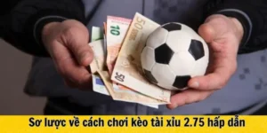 Hướng Dẫn Cách Chơi Kèo 2.75 Luôn Thắng Cho Người Mới