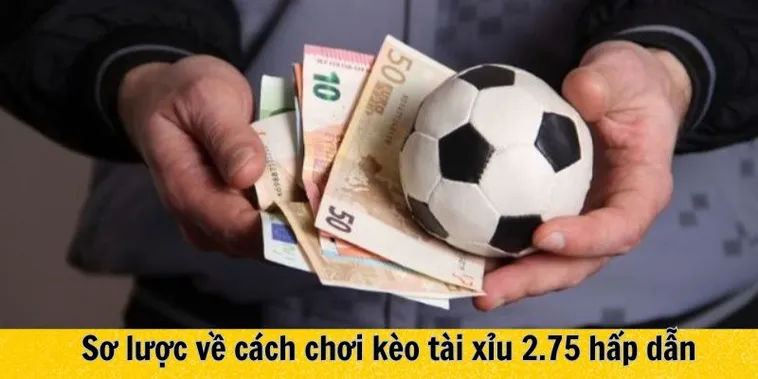 Hướng Dẫn Cách Chơi Kèo 2.75 Luôn Thắng Cho Người Mới
