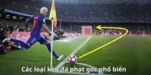 Thống Kê Kèo Phạt Góc Bóng Đá Và Những Diễn Biến Trên Sân