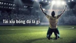 Tìm Hiểu Kèo Tài Xỉu Bóng Đá Và Những Số Liệu Thắng Bại