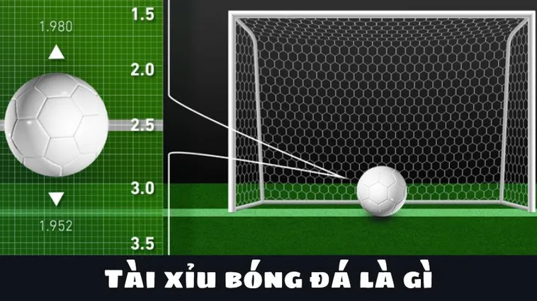 Tìm Hiểu Kèo Tài Xỉu Bóng Đá Và Những Số Liệu Thắng Bại