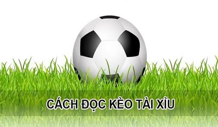 Bí Quyết Phân Tích Kèo Tài Xỉu Hiệp 1 Đạt Hiệu Quả Tuyệt Đối