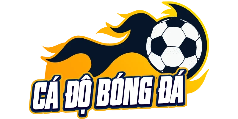 Trang cá độ bóng đá